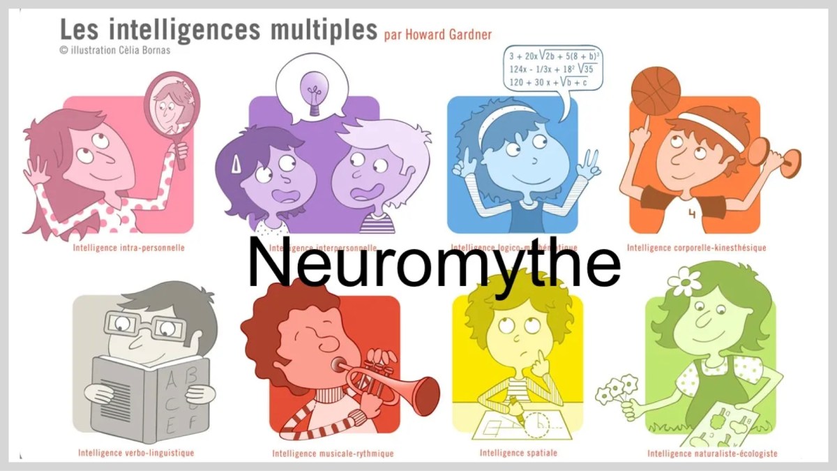 Le neuromythe des intelligences&nbsp;multiples